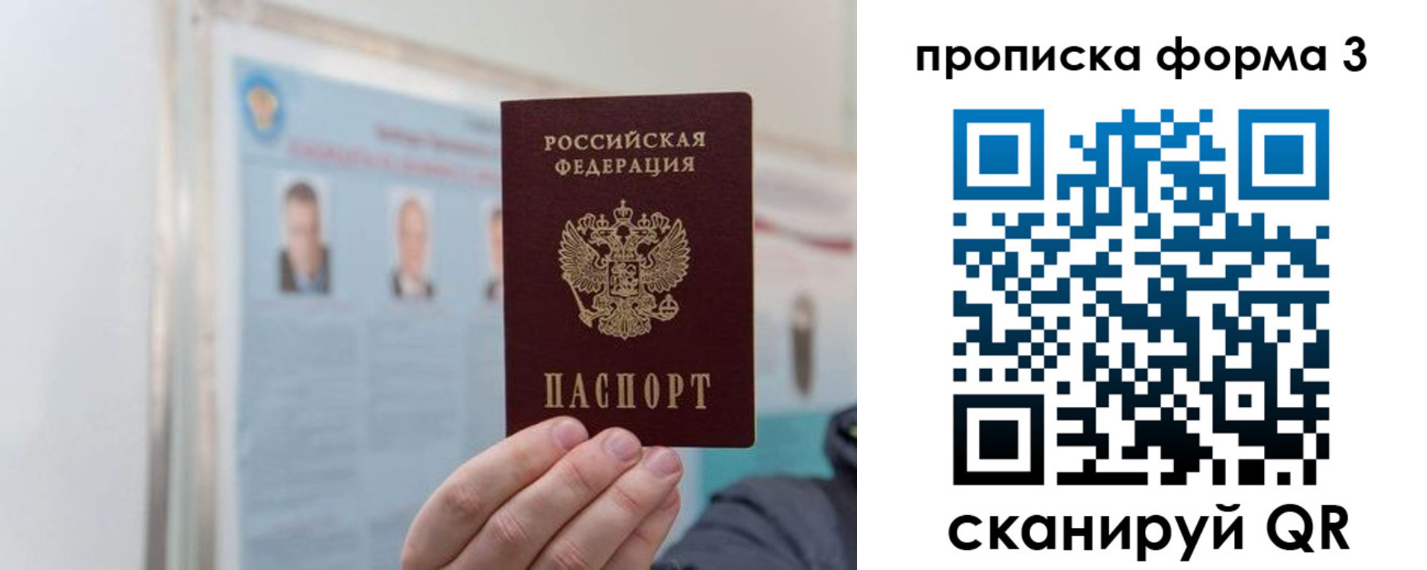 прописка законно в Пионерском
